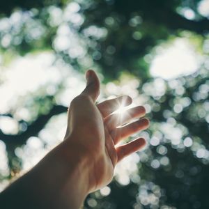 Sunlight breaking through leaves, symbolizing energy.